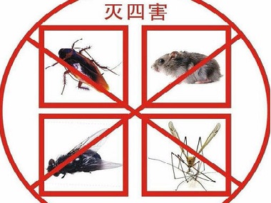 黄岐病媒防控公司有哪些方法可以驱除蚊虫、蟑螂