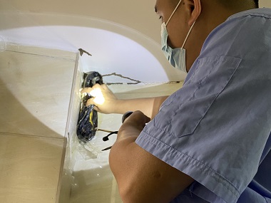 罗村预防白蚁所住宅防白蚁，这几步千万不能少！