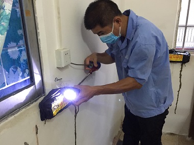 丹灶白蚁消杀站白蚁会在家里侵害骚扰怎么办