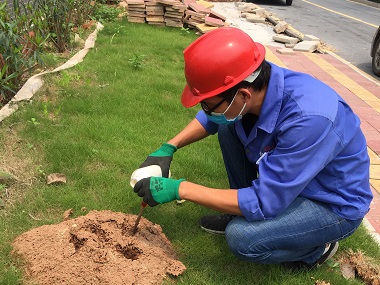 南海红火蚁灭治公司如何治理红火蚁危害