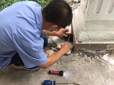 里水控制白蚁站日常生活中怎么预防白蚁